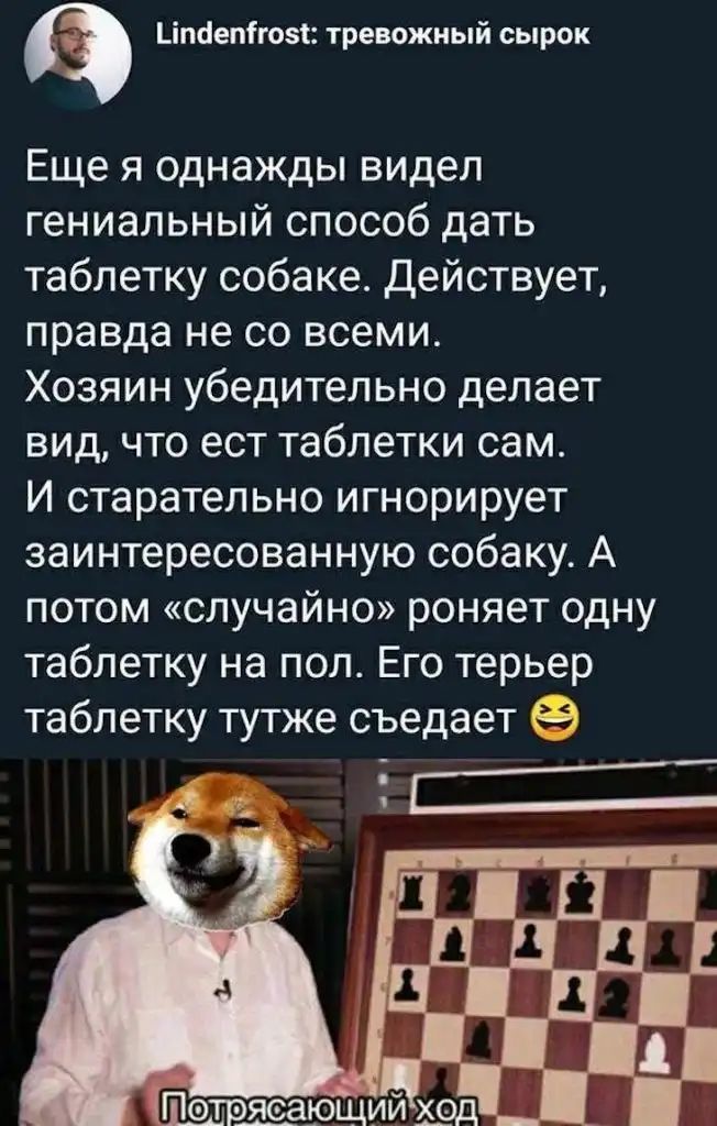 Ъіпбепігоеі тревожный сырок Еще я однажды видел гениальный способ дать таблетку собаке Действует правда не со всеми Хозяин убедительно делает вид что ест таблетки сам И старательно игнорирует заинтересованную собаку А потом случайно роняет одну таблетку на пол Его терьер таблетку тутже съедает