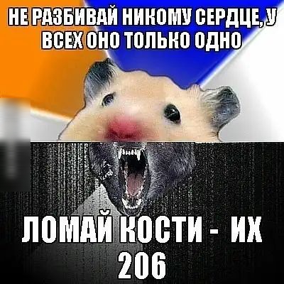 похмдйтньоети их