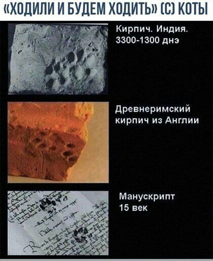 ИПИ И БУДЕМ ХПДИТЬП С КПТЫ Кирпич Индия 3300 1300 диз древнеримский КИРПИЧ ИЗАМГПИИ Манускрипт 15 век