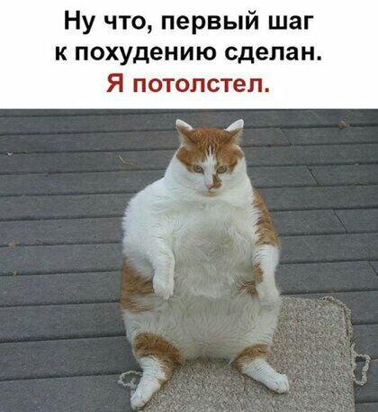 Ну что первый шаг к похудению сделан Я потолстел