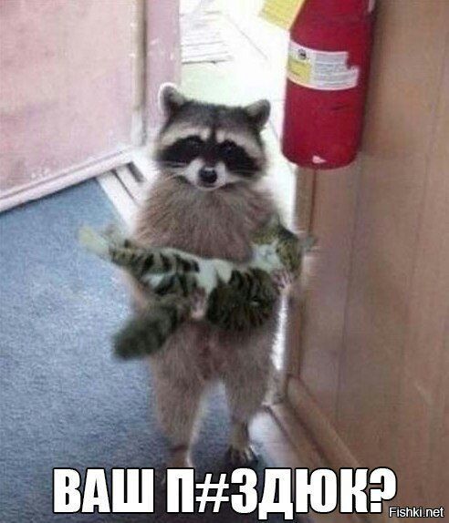 ВАШ ЗДЮНЕ