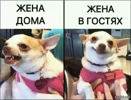 ЖЕНА В ГОСТЯХ