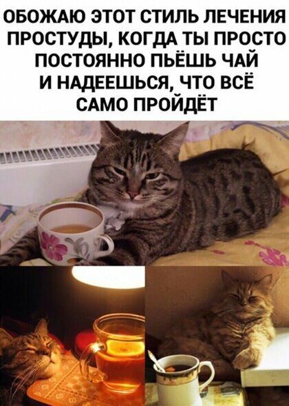 овождю этот стиль лвчвния простуды КОГДА ты просто постоянно пьЁшь чдй и нддввшься что всё сдмо пройдёт