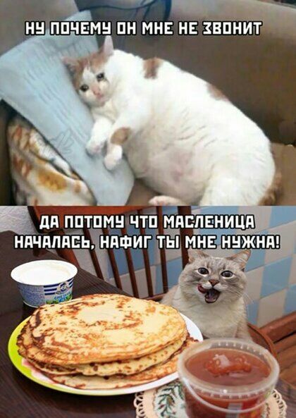 НН ПДЧ МН ПН МНЕ НЕ ЗВПНИ