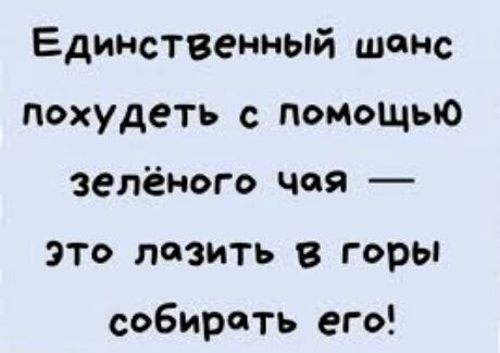 Единственный шанс похудеть спомощью зелёного чая это лазить в горы собирать его