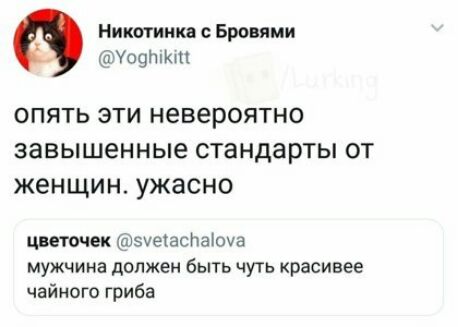 Никитинка Бровями Уефпюп ОПЯТЬ ЭТИ НЕВЕРОЯТНО завышенные стандарты ОТ ЖЕНЩИН УЖЭСНО цветочек зуежаспаюча мужчина должен быть чуть красивее чайного гриба