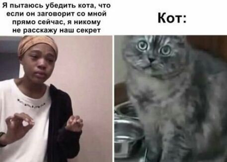 я пьпаювь убьдшь коп что он заговорит со миой пряма сейшн и никому не расскажу аш