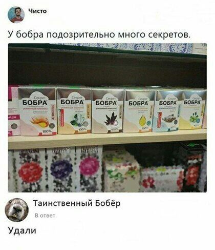в чине У бобра подозрительно много секретов _ Таинственный Бобер Удали