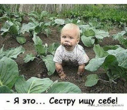 это Сва ищуістебеі