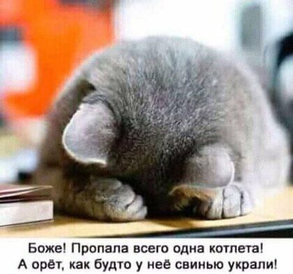 Боже Прапапа всего одна котлета А прет как будто у нее свинью украли