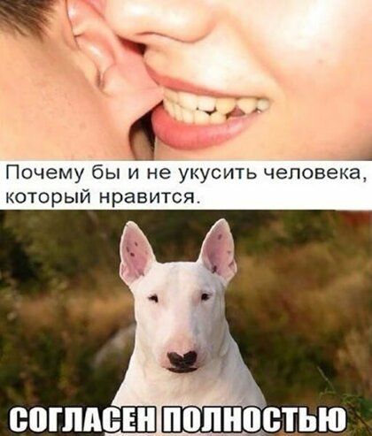 Почему бы и не укусить человека который нравится