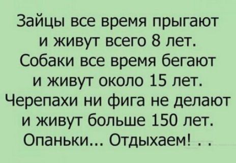 Зайцы все время прыгают и живут всего 8 лет Собаки все время бегают и живут около 15 лет Черепахи ни фига не делают и живут больше 150 лет Опаньки Отдыхаем