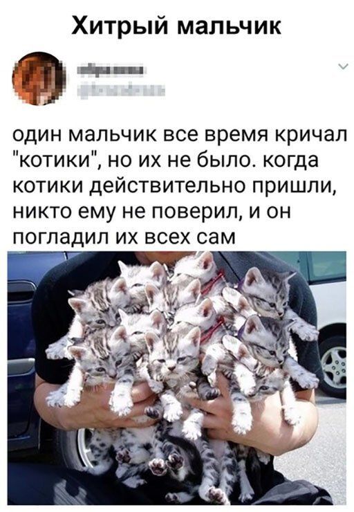 Хитрый мальчик один мальчик все время кричал котики но их не было когда котики действительно пришли никто ему не поверил и он погладил их всех сам