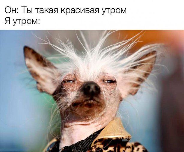 Он Ты такая красивая утром Я утром