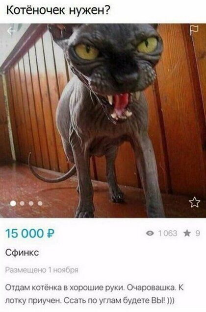 и о и