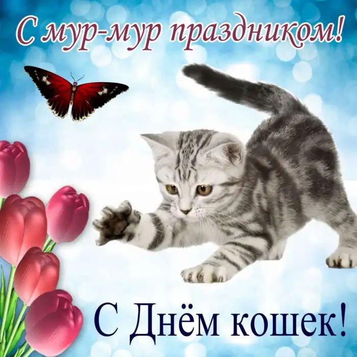 Ёйурмур праздникдэй С Днём кошек