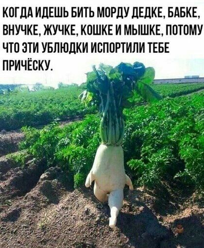 КОГДА ИЦЕШЬ БИТЬ МОРЦУ дЕПКЕ БАБКЕ ВНУЧКЕ ЖУЧКЕ КОШКЕ И МЫШКЕ ППТОМУ ЧТО ЭТИ УБЛЮЦКИ ИСППРТИЛИ ТЕБЕ ПРИЧЁВКУ