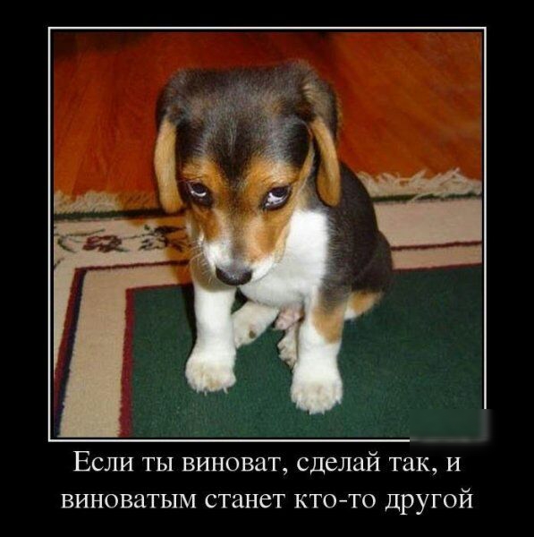 Если ты виноват сделай так и виноватым станет ктото другой