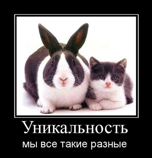Уникальность МЫ все Такие разные