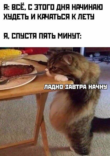 Я ВСЁ ЗТПГП дня НБНИНПШ ХНдЕТЬ И КБНПТЬЕП К ЛЕТ Я ЕПНЕТП ПЯТЬ МИННТ __ с д3 МНП ЗПЁТРП НИЧ Ьъ