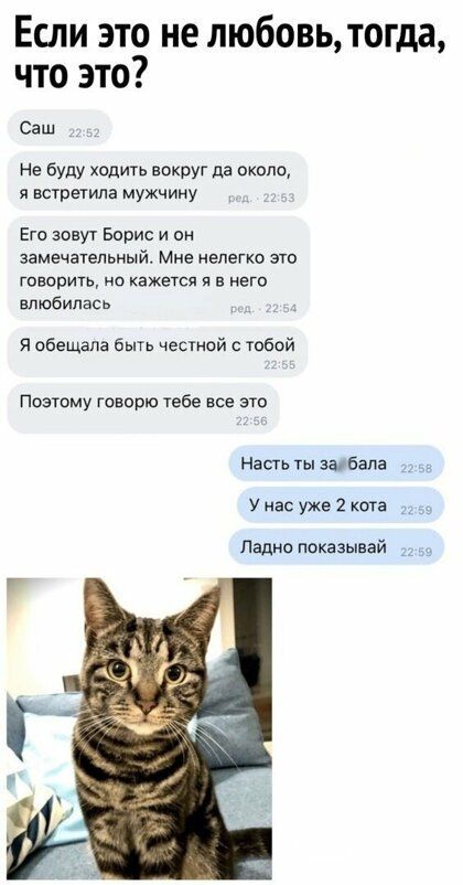 Если это не любовь тогда что это Саш не буду ходить вокруг да около я встретила мужчину Его зовуг Борис и он замечательный Мне нелегко это говорить но кажется я в него влюбилась Я обещала бьпь честной тобой Поэтому говорю тебе все это Наси гы забала Унес уже 2 кота Ладно показывай __