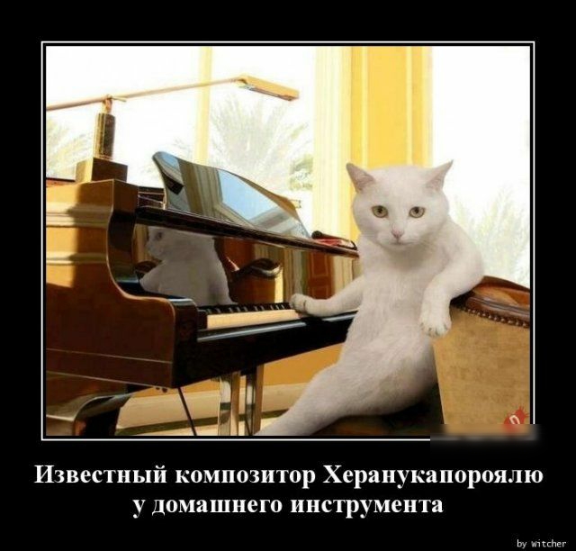 Известный композитор Херанукапороялю у домашнего инструмента ь н
