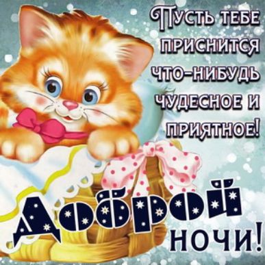 ЧТО НМБУдЬ Ь 9 77 ШШ