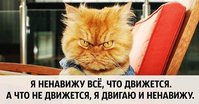 Я НЕНАВИЖУ ВСЁ ЧТО ДВИЖЁТСЯ А ЧТО НЕ ДВИЖЁТСЯ Я дВИГАЮ И НЕНАВИЖУ