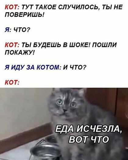 КОТ ТУТ ТАКОЕ СЛУЧИЛОСЬ ТЫ НЕ ПОБЕРИШЬ Я ЧТО КОТ ТЫ БУДЕШЬ В ШОКЕ ПОШЛИ ПОКАЖУ ЯИДУ ЗА КОТОМИ ЧТО КОТ ЕДА ИСЧЕЗЛА ВОТ ЧТО