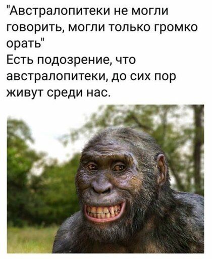 Австрапопитеки не могли говорить могли только громко орать Есть подозрение что австралопитеки до сих пор живут среди нас