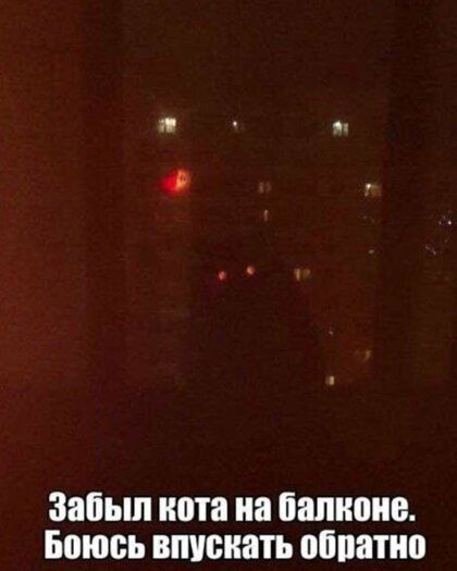 Забыл кота на балконе Боюсь впускать ойпатио