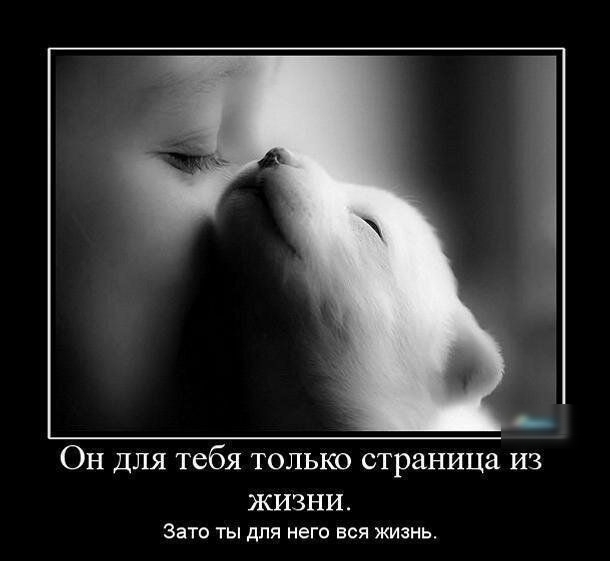 ОН ДЛЯ тебя ТОЛЬКО страница ИЗ ЖИЗНИ Зато ты для него вся жизнь