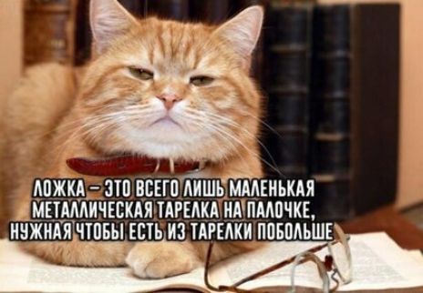 АЦЖКА пп вснптль ммшькдя мЕіШинвскАя пшик шими ш КЗЖНАЯЁЧТПБЫ ЕСТЬ КЗ ТАРЕАКИ ППБПАЪШБ