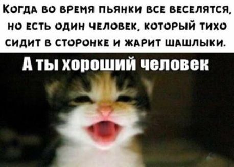 КОГДА ВО ВРЕМЯ ПЬЯНКИ ВСЕ БЕСЕЛЯТСЯ но ЕСТЬ Один ЧЕЛОВЕК КОТОРЫЙ ТИХО СИДИТ В СТОРОНКЕ И ЖАРИТ ШАШЛЫКИ А ТЫ ХВППШИЙ ШШШ