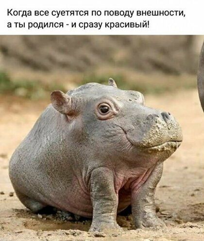 Когда все суетятся по поводу внешности а ты родился _ и сразу красивый