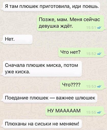 Я там ппюшек приготовила иди поешь Позже мам Меня сейчас девушка ждёт Нет Что нет Сначала ппюшек миска потом уже киска Что Поедание ппюшек важнее шлюшек НУ МАААААМ Птоханы на сиськи не меняем