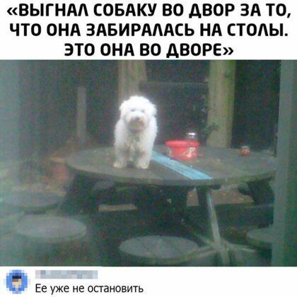 ВЫГНАА СОБАКУ ВО АВОР ЗА ТО ЧТО ОНА ЗАБИРАААСЬ НА СТОАЫ ЭТО ОНА ВО АВОРЕ Ее уже не остановить