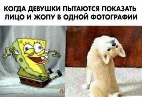 КОГДА дЕВУШКИ ПЫТАКЭТСЯ ПОКАЗАТЬ ЛИЦО И ЖОПУ В ОДНОМ ФОТОГРАФИИ