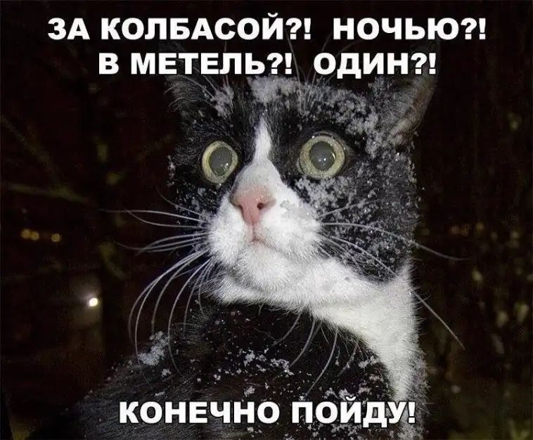 ЗА колвдсой НОЧЬЮ в метель одинд
