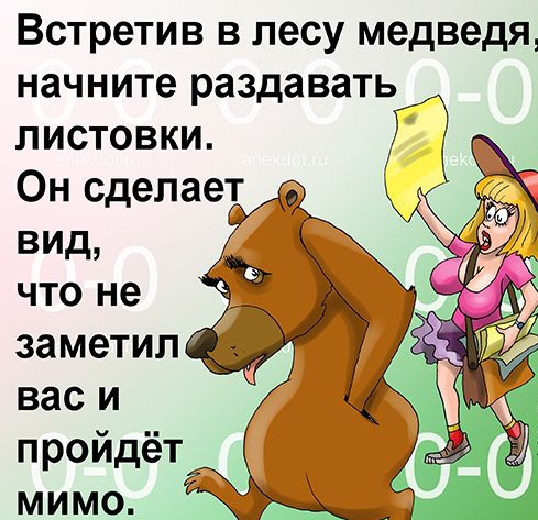 Встретив в лесу медведя начните раздавать листовки Он сделает пройдёт мимо