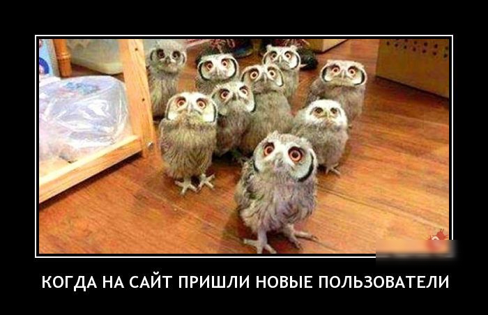 КОГДА НА САЙТ ПРИШЛИ НОВЫЕ ПОЛЬЗОВАТЕЛИ