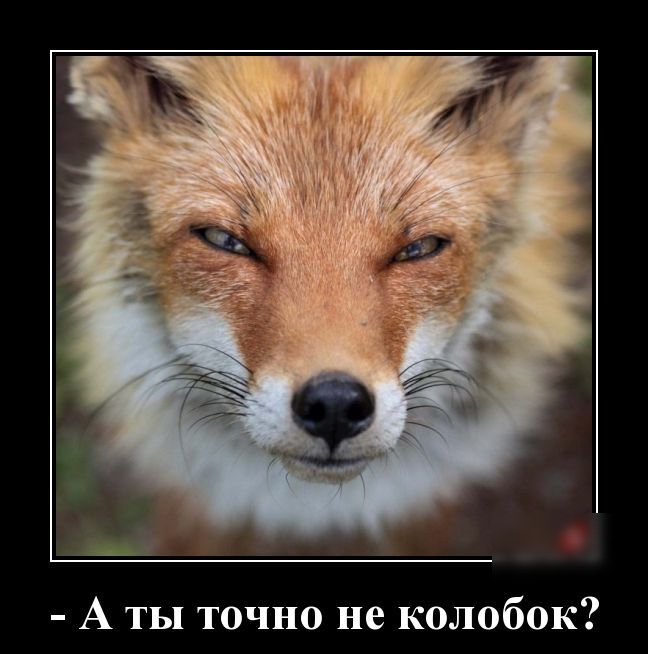 А ты точно не колобок