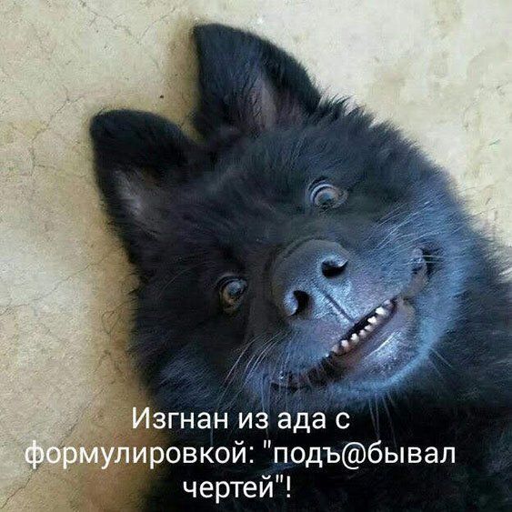 згнан из ада с резкой подъбывал чертей