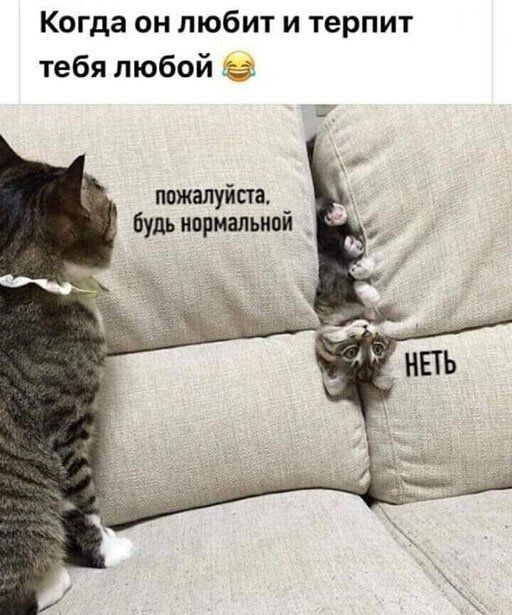 Когда он любит и терпит тебя любой пожалуйста Будь ипрмальипй