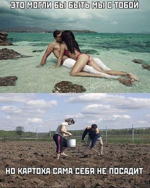 ШЪШЁПЁ кдртпхдвдйп гяівпппцдит