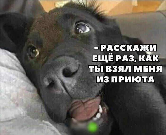 РАССКАЖИ 1 ЕЩЁ РАЗ КАК ТЫ ВЗЯЛ МЕНЯ ИЗ ПРИ ЮТА