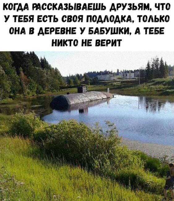 КОГДА РАССКАЗЫВАЕШЬ ДРУЗЬЯМ ЧТО У ТЕБЯ ЕСТЬ СВОЯ ПОМОАКА только ОНА В АЕРЕВНЕ У БАБУШКИ А ТЕБЕ никто НЕ ВЕРИТ