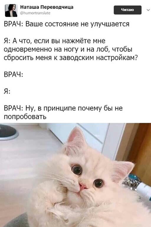 и наташа ереводчица ш ВРАЧ Ваше состояние не улучшается Я А что если вы нажмёте мне одновременно на ногу и на лоб чтобы сбросить меня к заводским настройкам ВРАЧ Я ВРАЧ Ну в принципе почему бы не попробовать