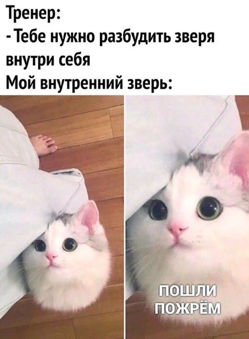 Тренер Тебе нужно разбудить зверя внутри себя Мой внутренний зверь