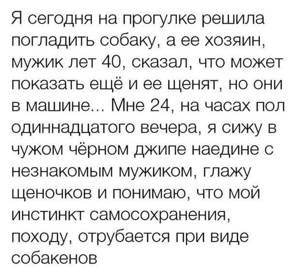 Я сегодня на прогулке решила погладить собаку а ее хозяин мужик лет 40 сказал что может показать ещё и ее щенят но они в машине Мне 24 на часах пол одиннадцатого вечера я сижу в чужом чёрном джипе наедине с незнакомым мужиком глажу щеночков и понимаю что мой инстинкт самосохранения походу отрубается при виде собакенов
